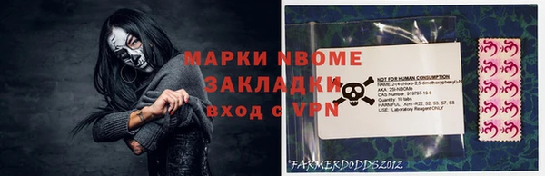 шишки Мегион