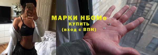 шишки Мегион