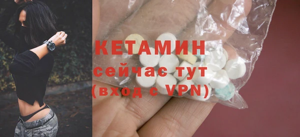 шишки Мегион