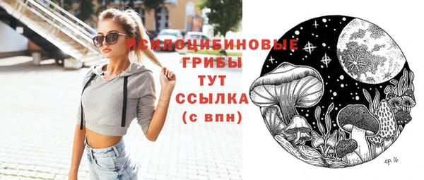 шишки Мегион
