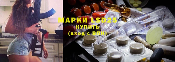 шишки Мегион