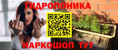 прущие крисы Изобильный