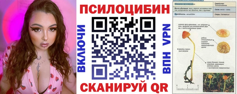 Галлюциногенные грибы ЛСД  shop наркотические препараты  Михайловка  дарнет шоп 