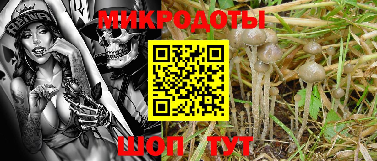 Галлюциногенные грибы мухоморы  Вход с VPN  Михайловка  Псилоцибиновые грибы мухоморы 