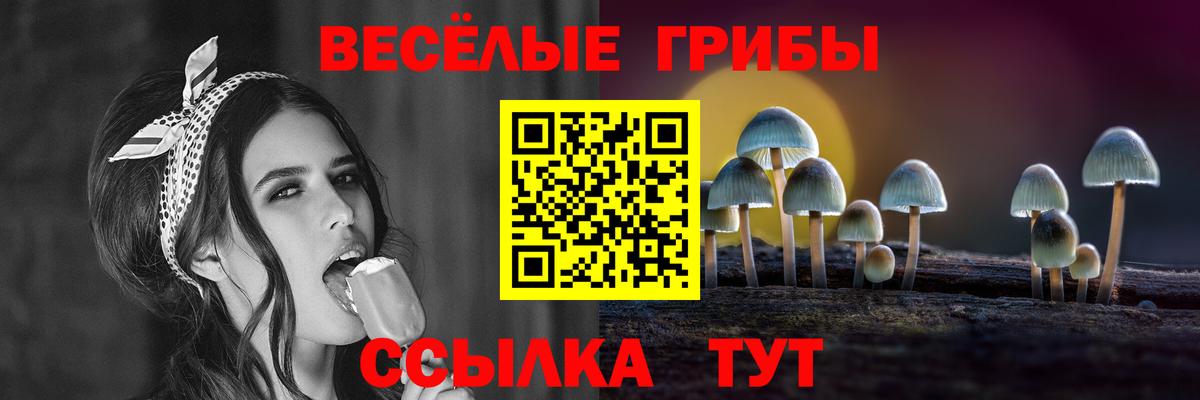 Псилоцибиновые грибы GOLDEN TEACHER Михайловка