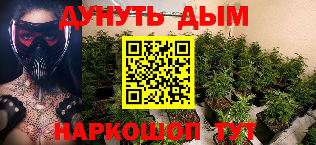 Канабис конопля  Михайловка  Шишки марихуана планчик  МАРИХУАНА план 